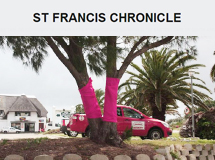 ‘Paint’ Saint Francis Pink: decorate a tree